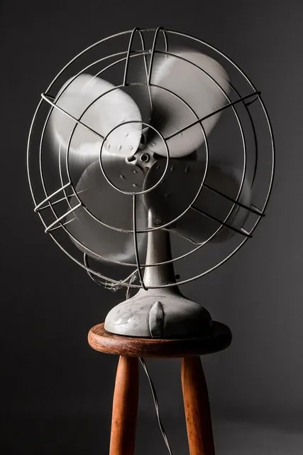 FAN