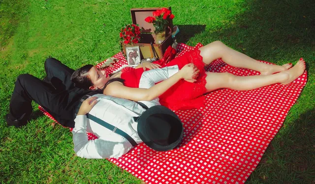 PICNIC PLAID