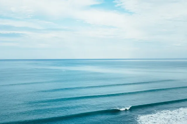 ORANGE WAVE