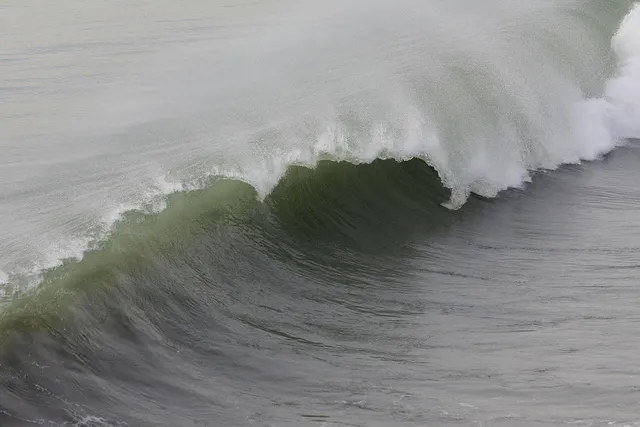 ORANGE WAVE