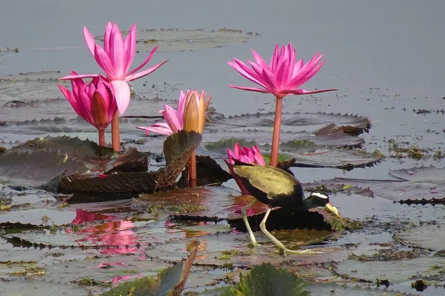 FLOWERS IN BRONZE