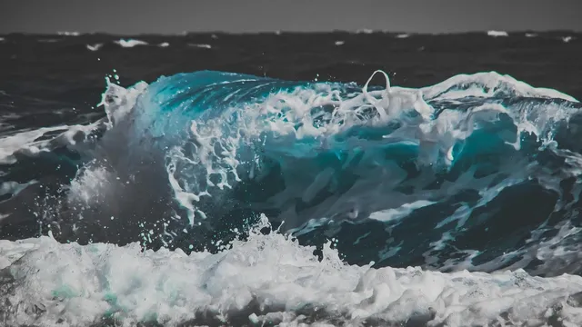 ORANGE WAVE